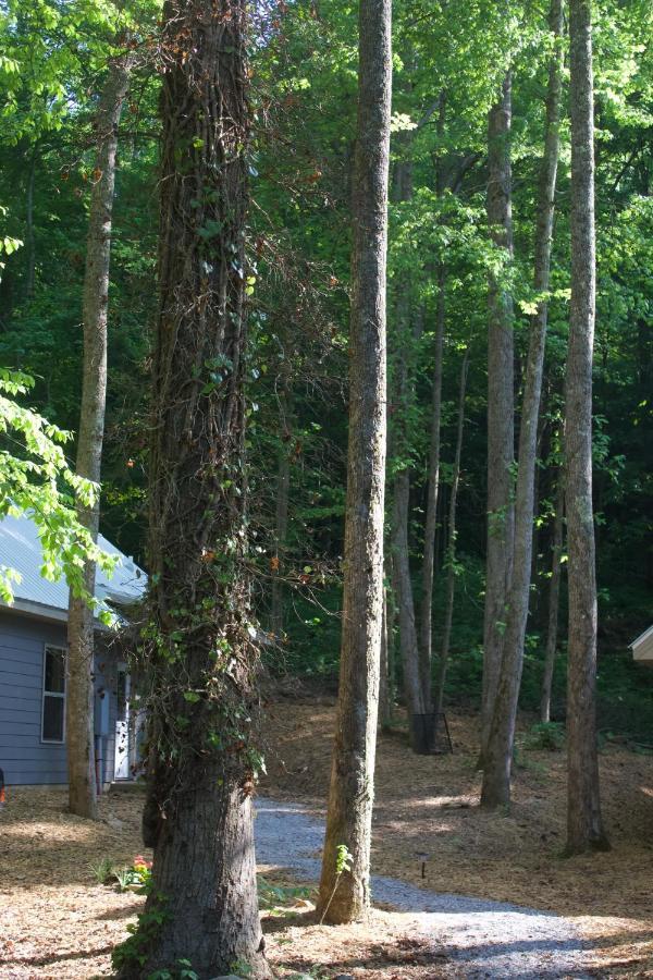 Villas At Gingershack Farms Ellijay Ngoại thất bức ảnh