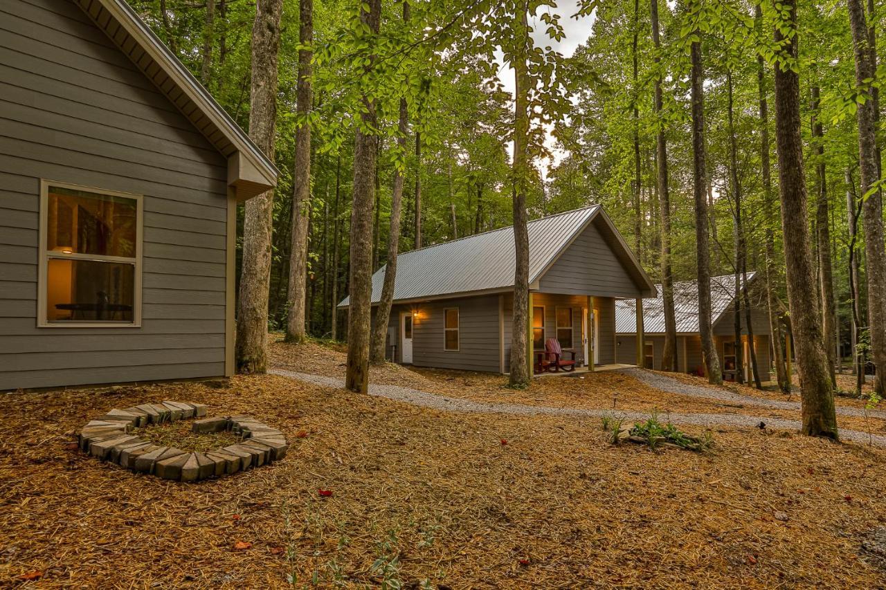 Villas At Gingershack Farms Ellijay Ngoại thất bức ảnh